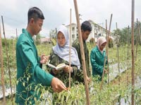Shift College Program Universitas Boyolali Nomor 10